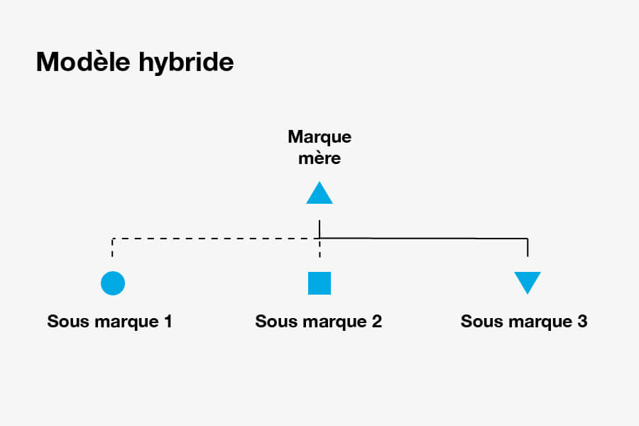 Architecture-marque-modele-hybride.jpg